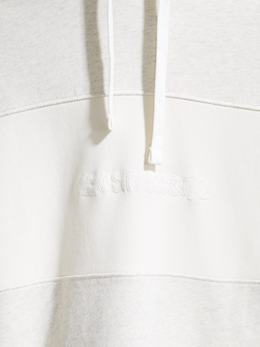 csm_H2_20_35872-0000_RELAXED_FIT_NOVELTY_HOOD_LINEAR_GARMENT_DYE_TOFU_D2_ec90478c13